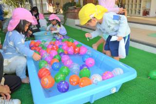 神戸市立神出幼稚園-ニュース - 今日のできごと -