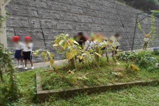 長田電機工業　吸込パイプA　10本入 長田電機工業 吸込パイプA 10本入 エアータービン | OSADAの歯科