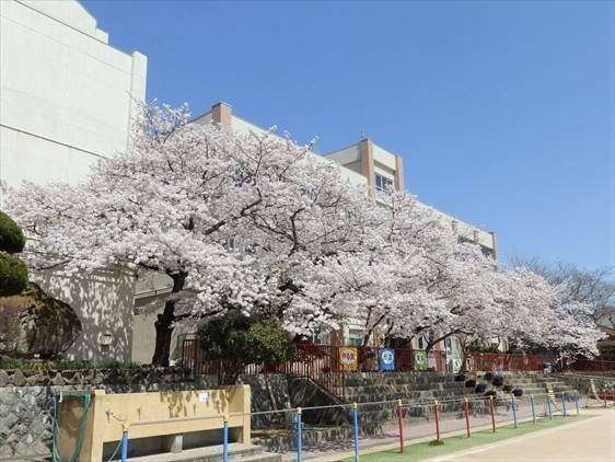 小学 逆さ撮り 神戸市立押部谷小学校-トップページ