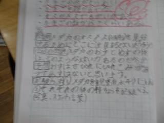 神戸市立住吉小学校-ニュース - 校長日誌 -