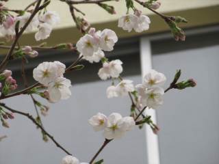 木片で描かれた港の風景です。 細かい木片を貼り付けてあります。 