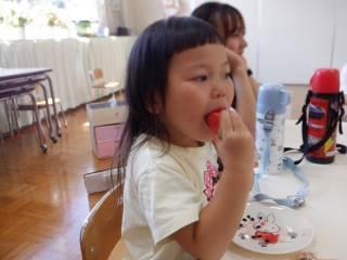 神戸市立山田幼稚園-ニュース - 山田歳時記（日々の出来事） -