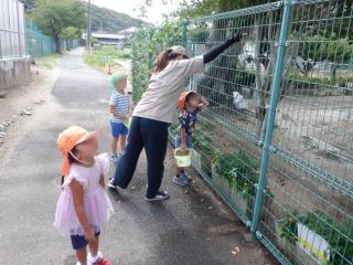 神戸市立平野幼稚園-ニュース - 今日のできごと -