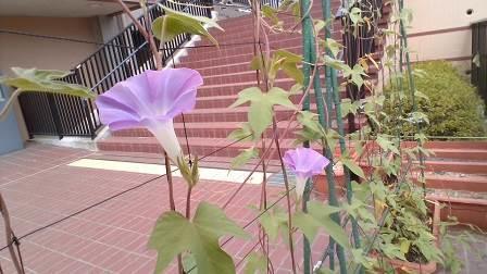 神戸市立神港橘高等学校 ニュース 学年の様子