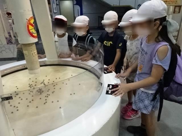 Dusfhazvdo Wom