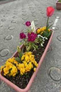 神戸市立多聞の丘小学校 ニュース 今日のできごと