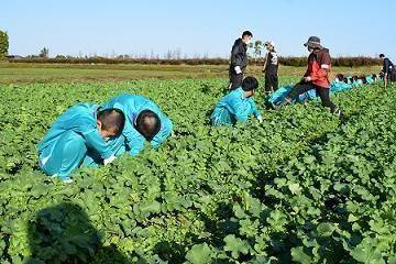 神戸市立玉津中学校 トップページ